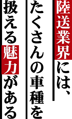 陸送業界には、たくさんの車種を扱える魅力があ